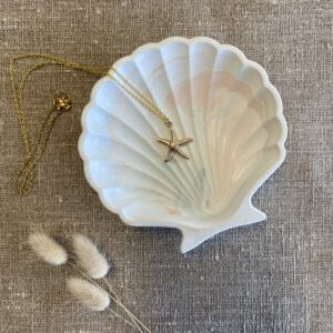Seestern Kette vergoldet, maritimer Schmuck