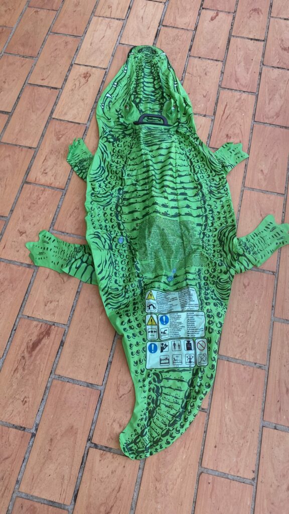Krokodil Schwimmtier